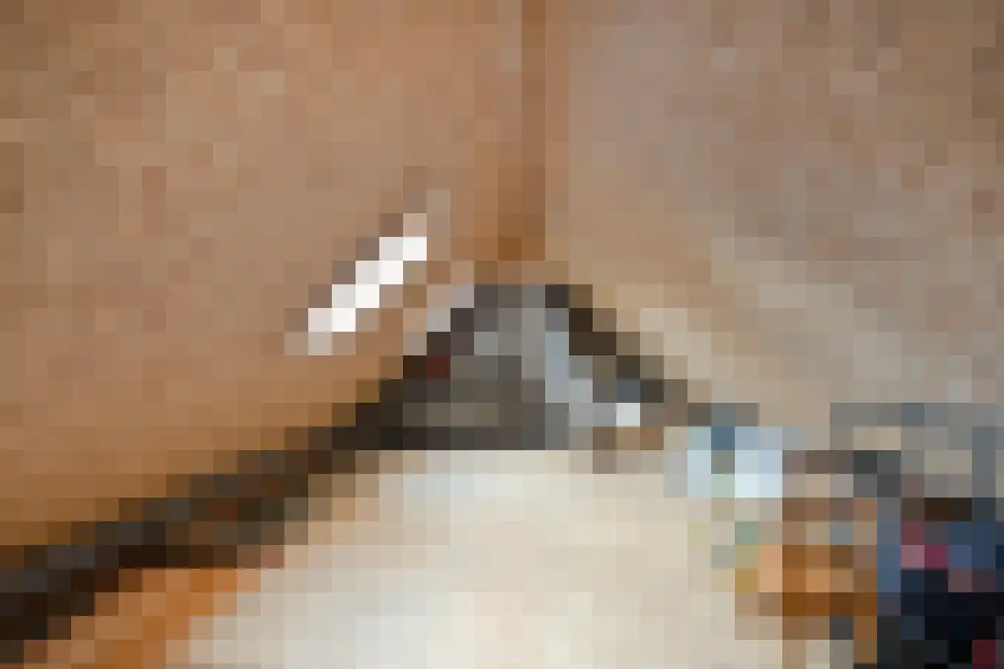 Tuinstraat 5 Ommen thumbnail 41