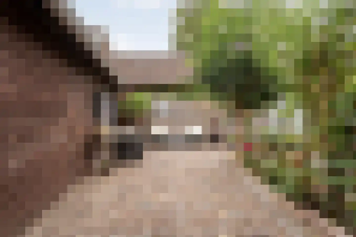 Tuinstraat 5 Ommen thumbnail 43