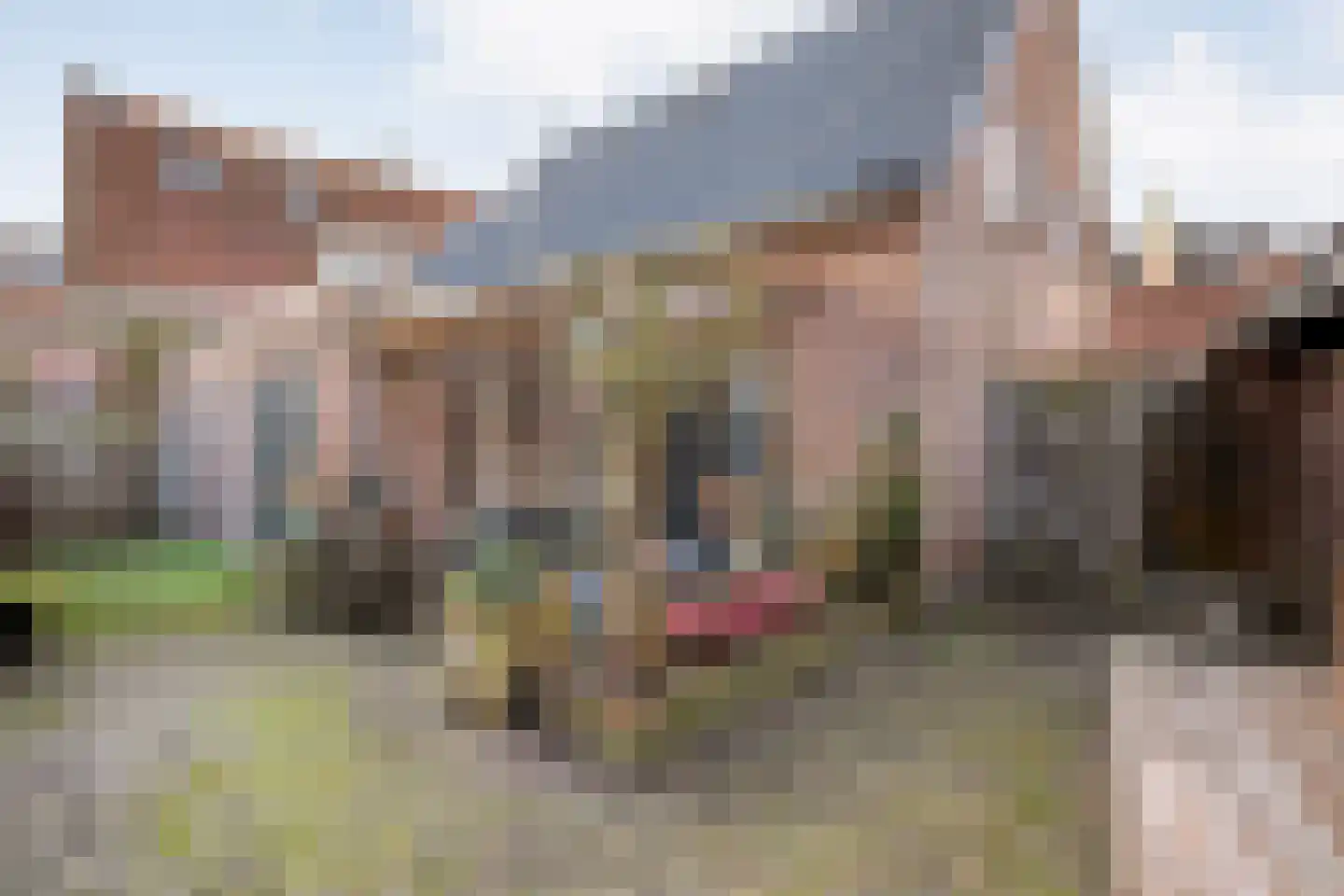Tuinstraat 5 Ommen thumbnail 42
