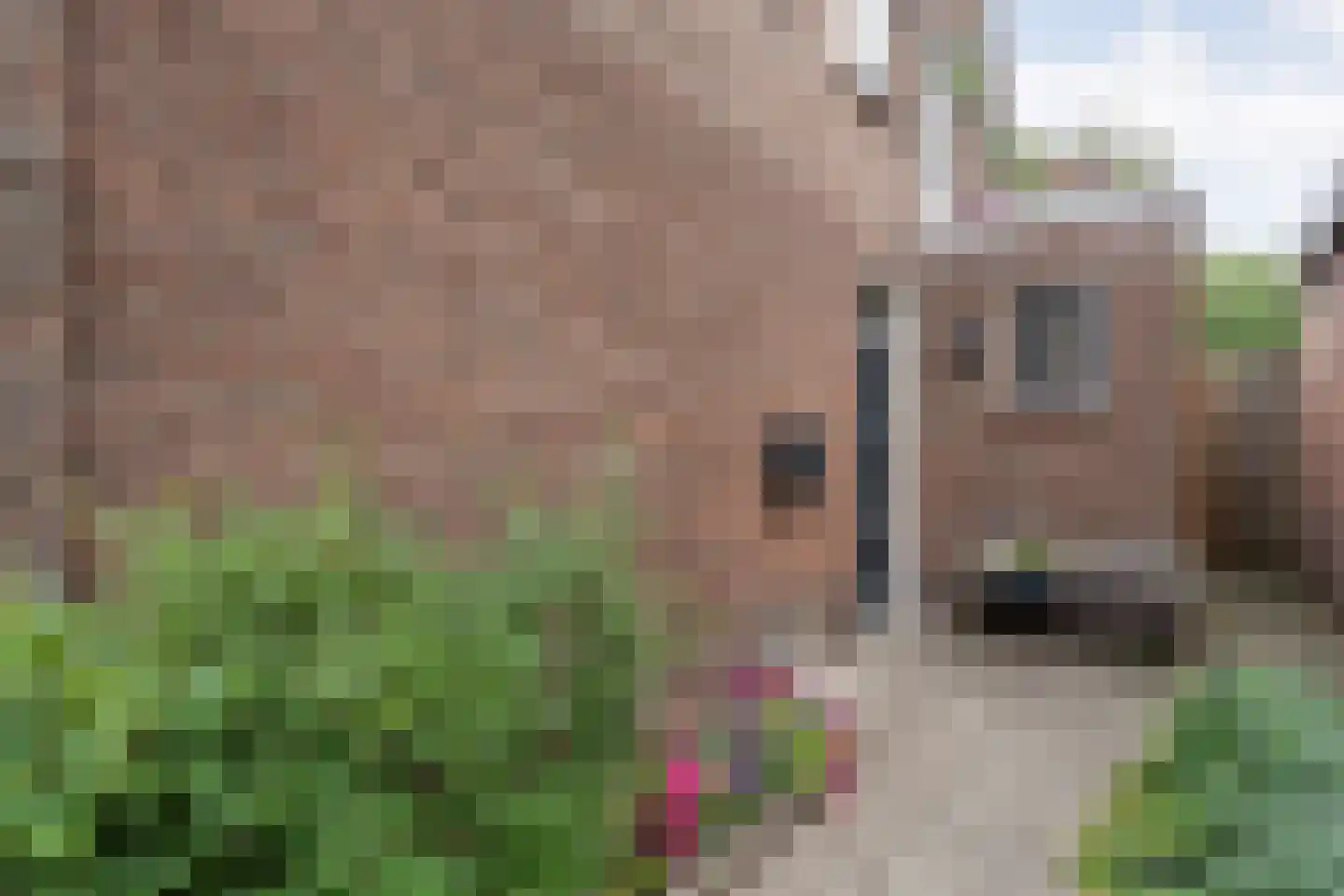Tuinstraat 5 Ommen thumbnail 44