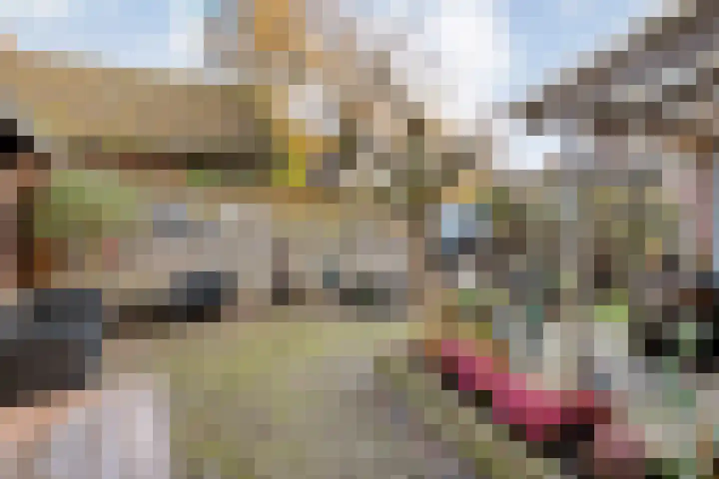 Tuinstraat 5 Ommen thumbnail 43