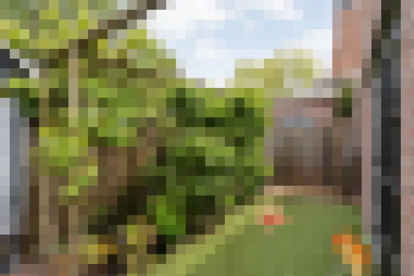 Tuinstraat 5 Ommen thumbnail 49