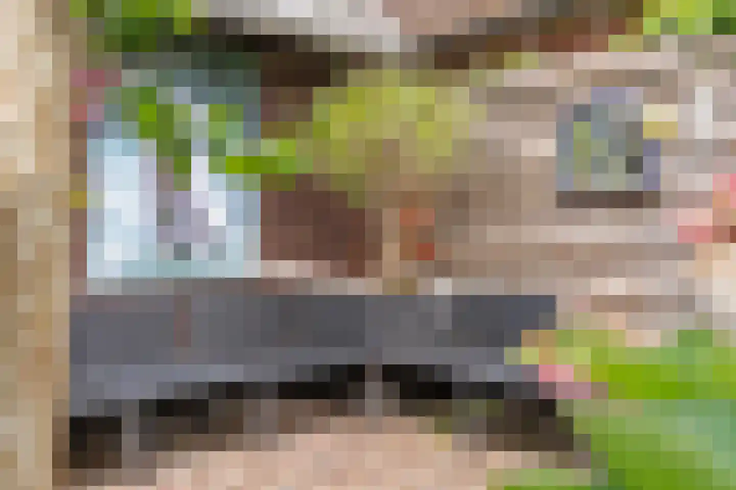 Tuinstraat 5 Ommen thumbnail 51