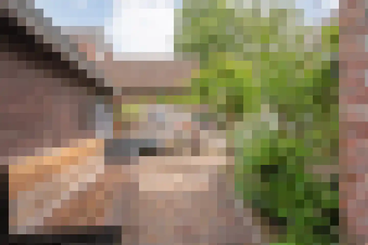 Tuinstraat 5 Ommen thumbnail 52