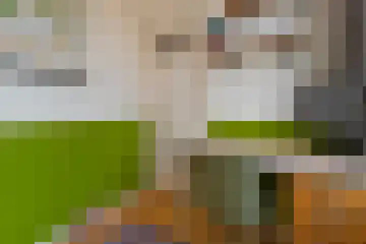 Tuinstraat 5 Zwolle thumbnail 13