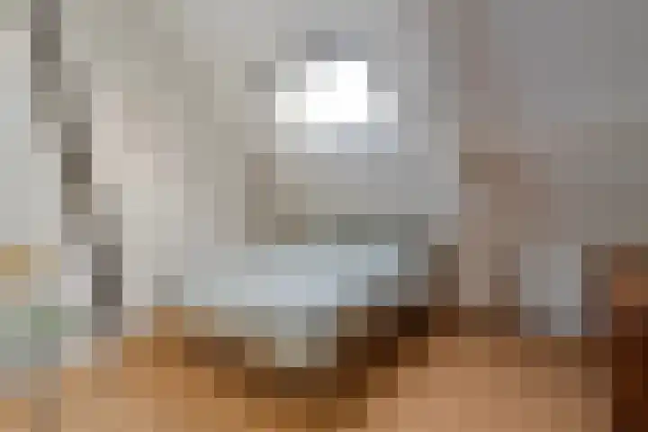 Tuinstraat 5 Zwolle thumbnail 18
