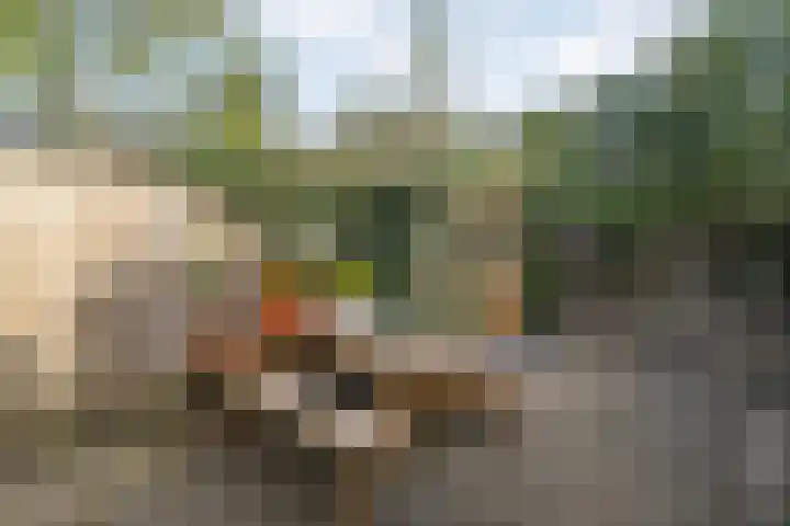 Tuinstraat 5 Zwolle thumbnail 24