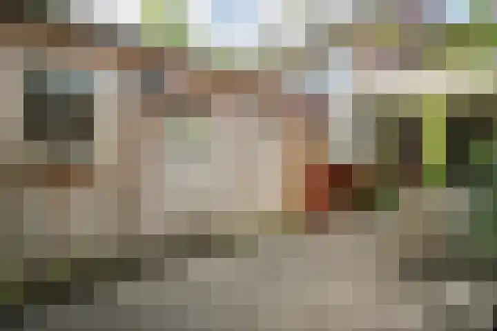 Tuinstraat 5 Zwolle thumbnail 26