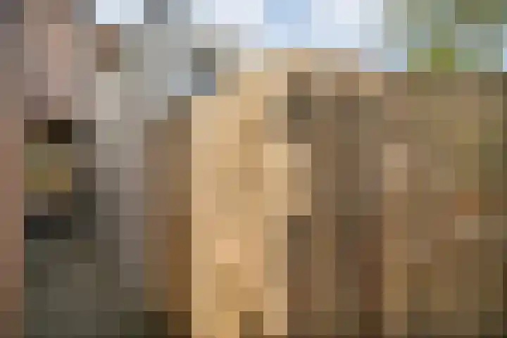 Tuinstraat 5 Zwolle thumbnail 27