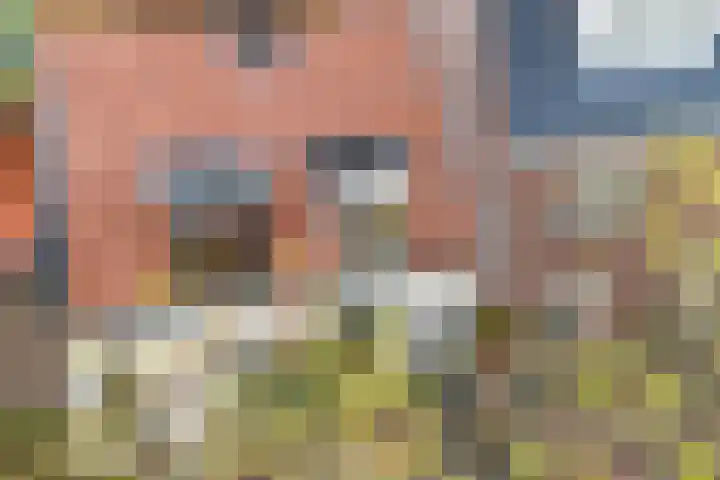 Tuinstraat 5 Zwolle thumbnail 29