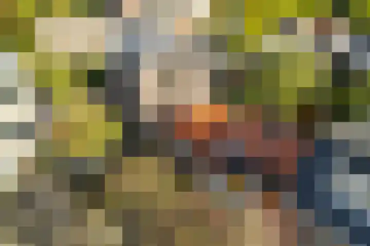 Tuinstraat 5 Zwolle thumbnail 30