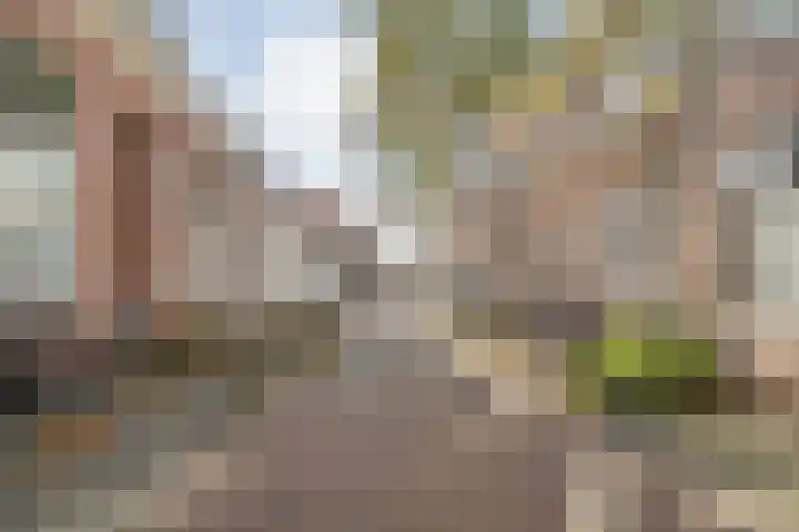 Tuinstraat 5 Zwolle thumbnail 31