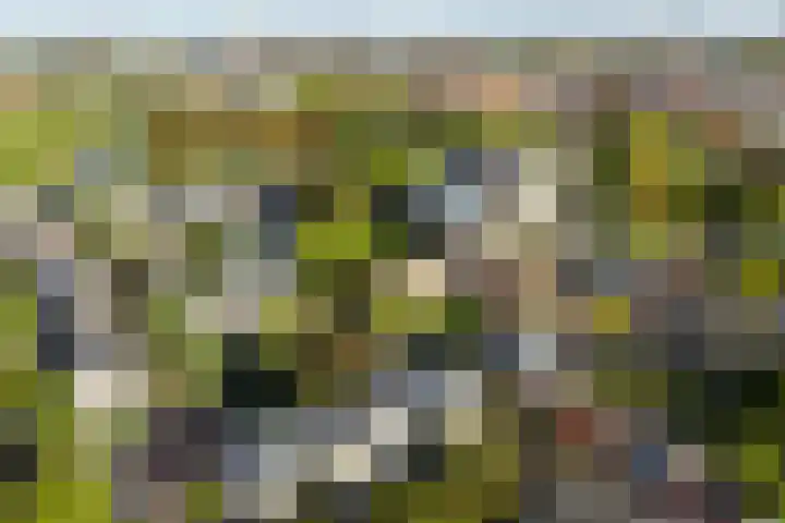 Tuinstraat 5 Zwolle thumbnail 33