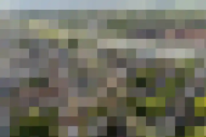 Tuinstraat 5 Zwolle thumbnail 34