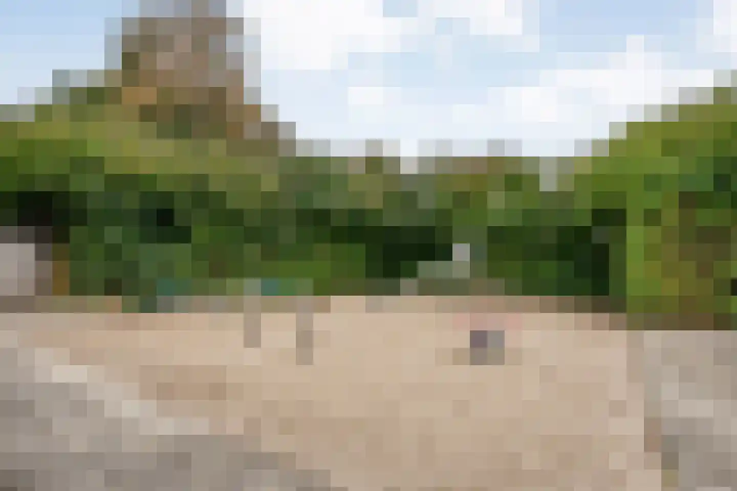 Tuinstraat 51 Zwolle thumbnail 31