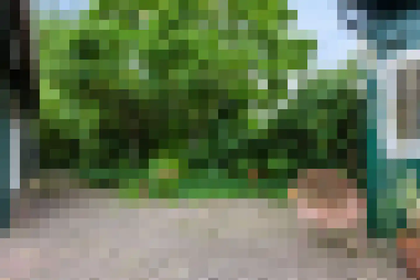 Tuinstraat 52 Brummen thumbnail 43