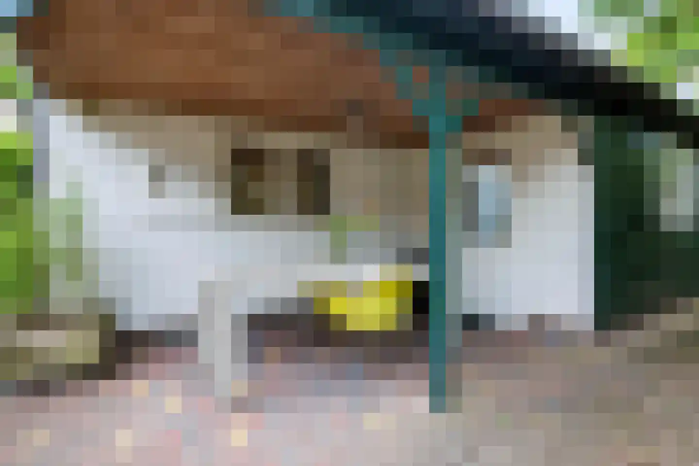 Tuinstraat 52 Brummen thumbnail 45