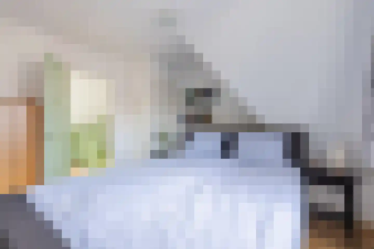 Tuinstraat 53 Zaandijk thumbnail 25