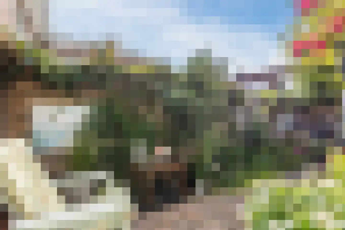 Tuinstraat 53 Zaandijk thumbnail 31