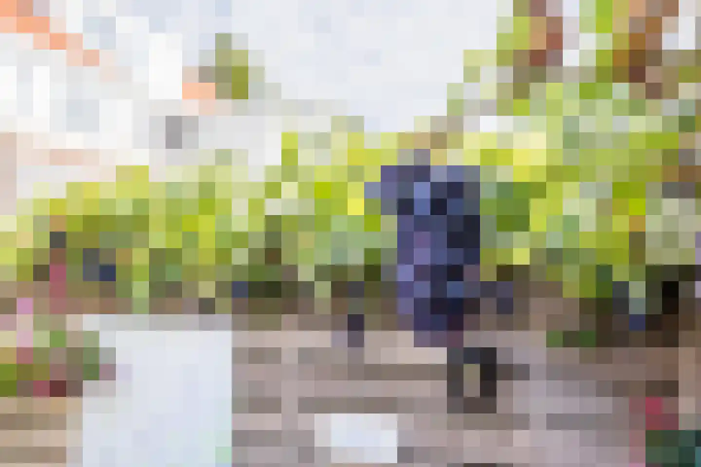 Tuinstraat 53 Zaandijk thumbnail 32