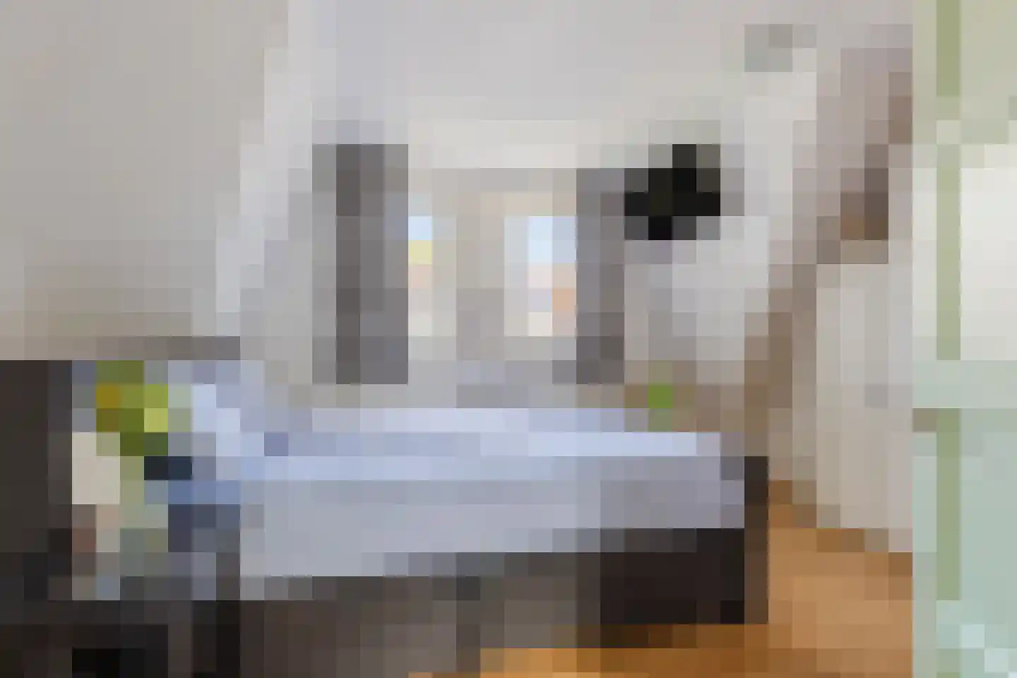 Tuinstraat 53 Zaandijk thumbnail 5
