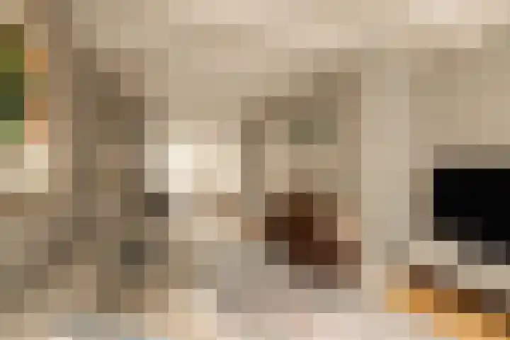Tuinstraat 54 Amsterdam thumbnail 47