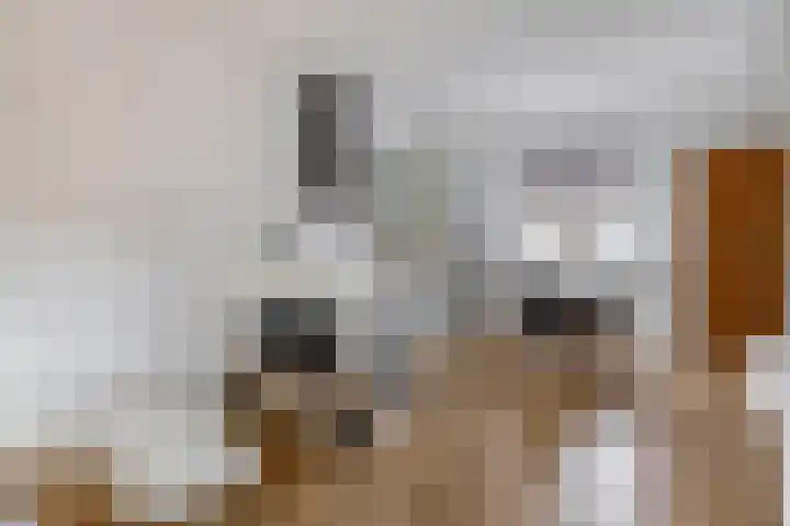 Tuinstraat 55 Krimpen aan den IJssel thumbnail 13