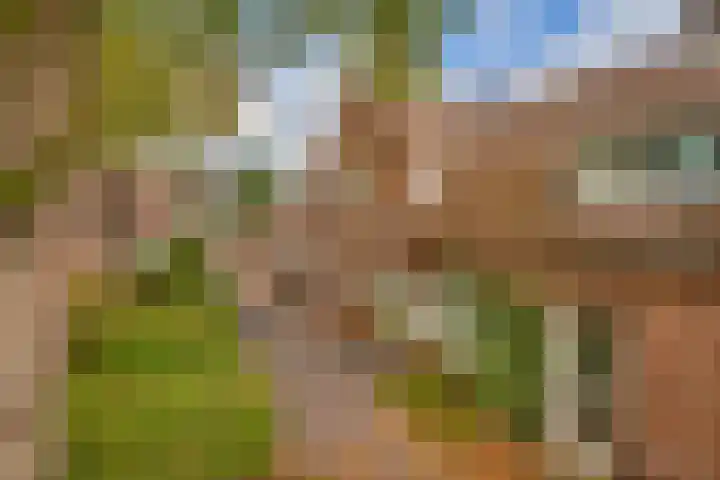 Tuinstraat 55 Krimpen aan den IJssel thumbnail 26