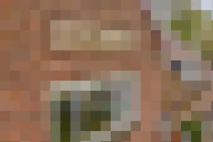 Tuinstraat 55 Krimpen aan den IJssel thumbnail 29