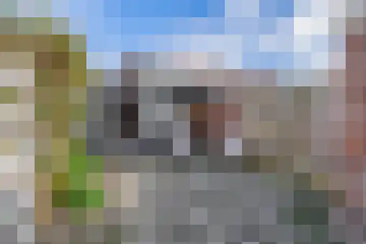 Tuinstraat 55 Krimpen aan den IJssel thumbnail 31