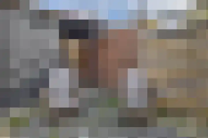 Tuinstraat 55 Krimpen aan den IJssel thumbnail 33