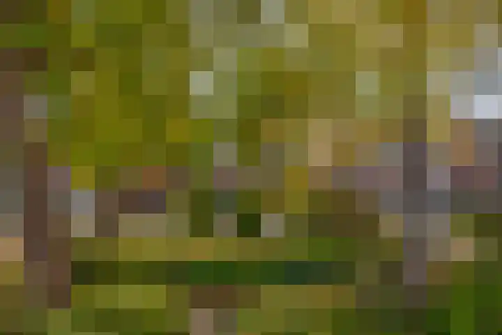 Tuinstraat 55 Krimpen aan den IJssel thumbnail 38