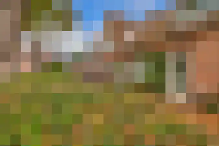 Tuinstraat 55 Krimpen aan den IJssel thumbnail 7