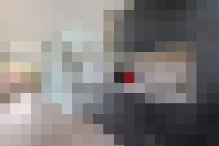 Tuinstraat 55 Zaandijk thumbnail 13