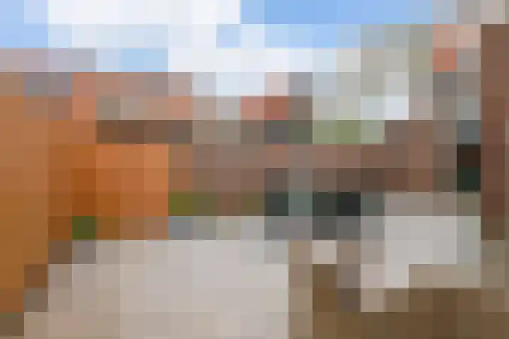 Tuinstraat 55 Zaandijk thumbnail 20