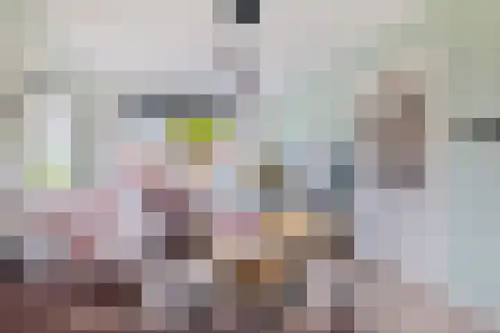 Tuinstraat 55 Zaandijk thumbnail 6