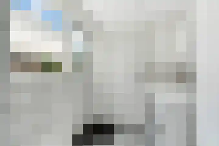 Tuinstraat 56 Zwolle thumbnail 10