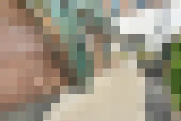 Tuinstraat 56 Zwolle thumbnail 30