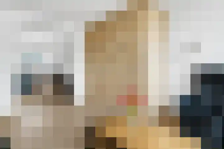 Tuinstraat 56 Zwolle thumbnail 4