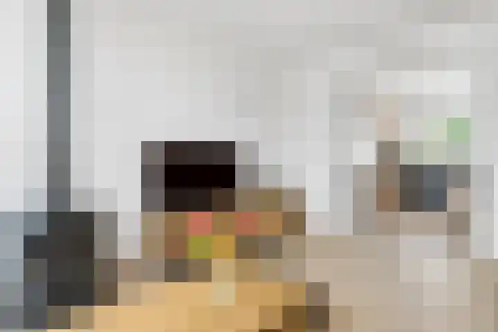Tuinstraat 56 Zwolle thumbnail 5