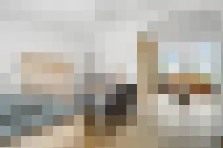 Tuinstraat 56 Zwolle thumbnail 9