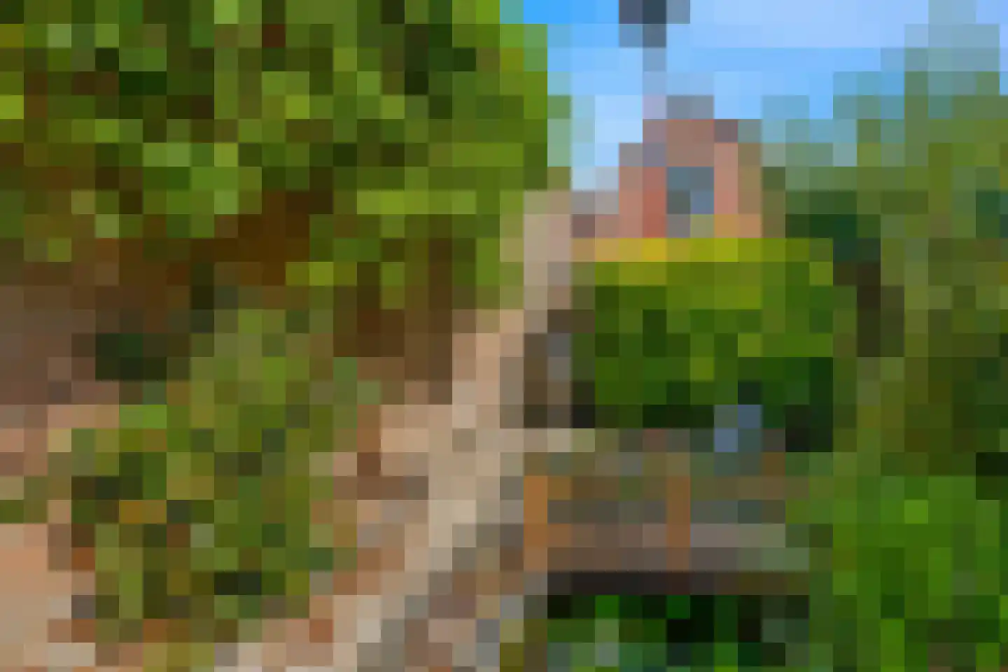 Tuinstraat 57 Alkmaar thumbnail 13