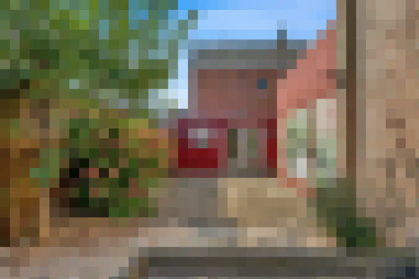 Tuinstraat 57 Alkmaar thumbnail 14