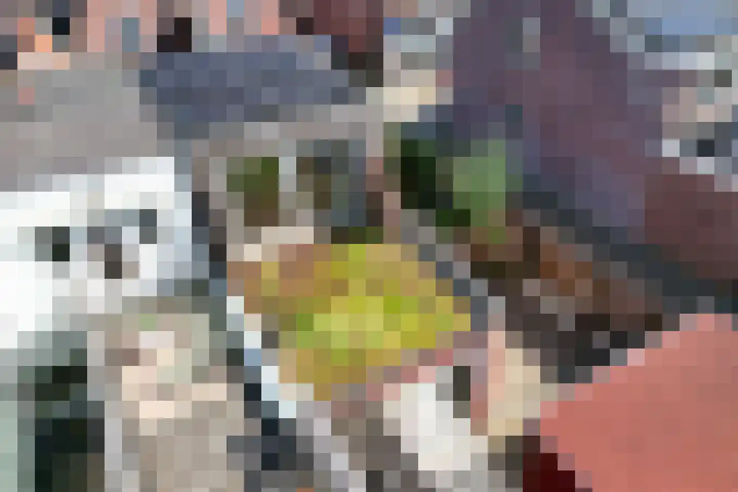 Tuinstraat 57 Alkmaar thumbnail 24