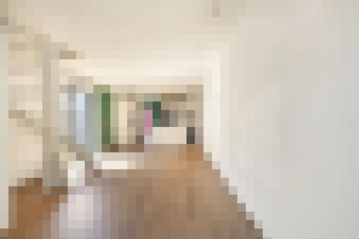Tuinstraat 57 Alkmaar thumbnail 6
