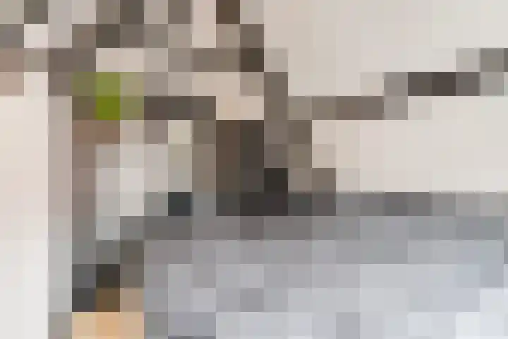 Tuinstraat 58 Alkmaar thumbnail 23