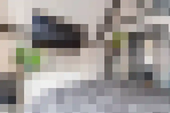 Tuinstraat 58 Alkmaar thumbnail 24