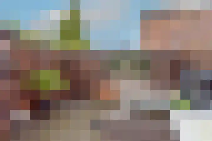 Tuinstraat 58 Alkmaar thumbnail 33