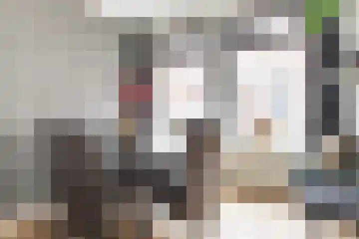 Tuinstraat 58 Alkmaar thumbnail 8