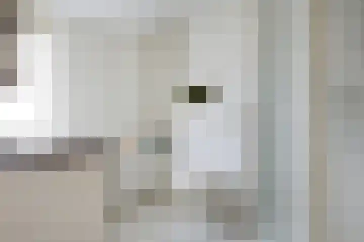 Tuinstraat 58 De Bilt thumbnail 25
